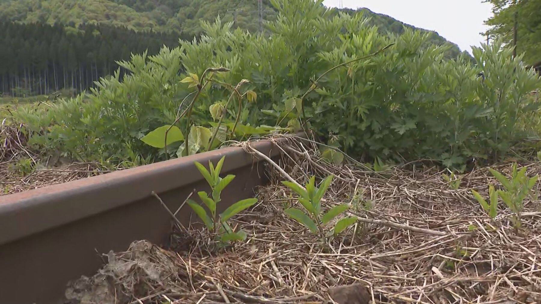 2022年から運休続くJR米坂線　“JR単体の復旧”求めてきた新潟県が他案検討の意向「持続可能性考えなければ」