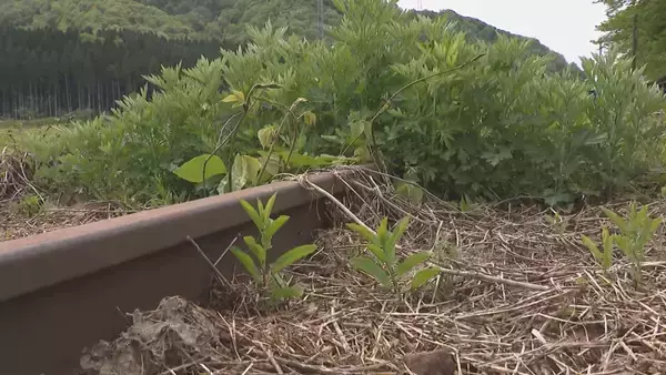 「2022年から運休続くJR米坂線　“JR単体の復旧”求めてきた新潟県が他案検討の意向「持続可能性考えなければ」」の画像