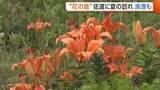 「イワユリが“花の島”佐渡に夏の訪れ告げる！漁港では新しい定置網漁船の竣工式「ワクワクして仕事できる」」の画像1