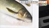 「【アユ】脂がのって食べ頃！旬迎えた“アユ”「栄養価高くさっぱりした味わい楽しめる」　店頭で選ぶ際は“スタイル”に注目！？」の画像1