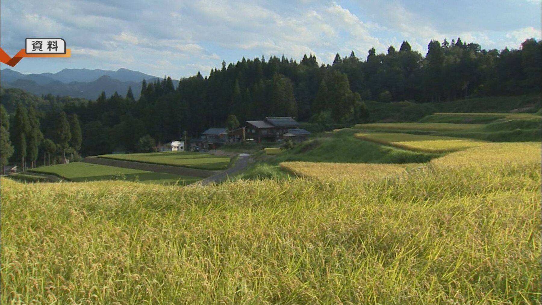 「心が折れた」サル・イノシシの被害続き…日本の棚田百選『北五百川の棚田』が400年超の歴史に幕｜新潟・三条市