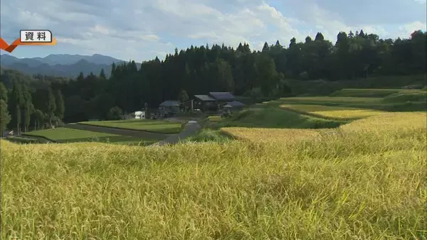 「「心が折れた」サル・イノシシの被害続き…日本の棚田百選『北五百川の棚田』が400年超の歴史に幕｜新潟・三条市」の画像