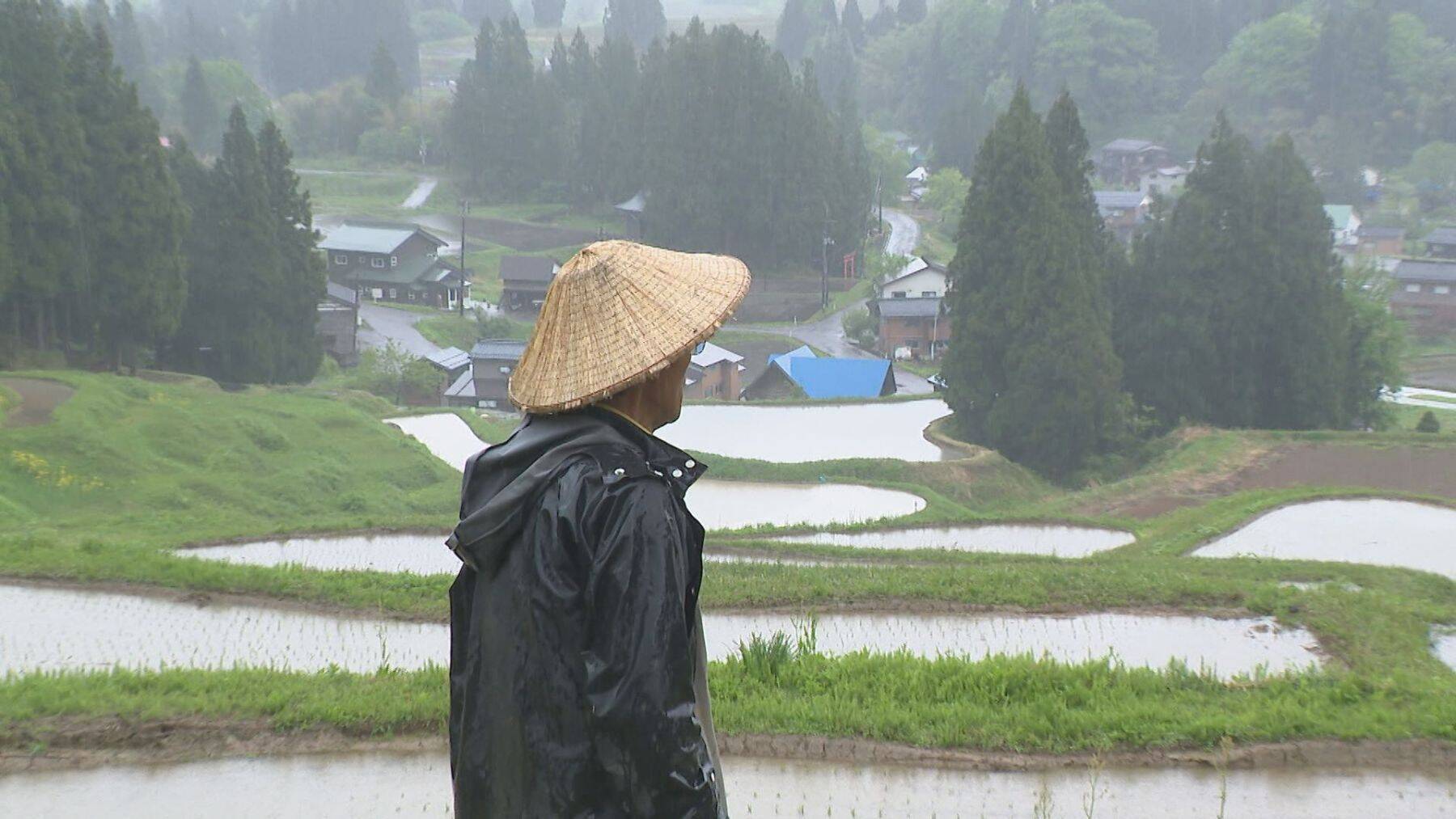 「心が折れた」サル・イノシシの被害続き…日本の棚田百選『北五百川の棚田』が400年超の歴史に幕｜新潟・三条市