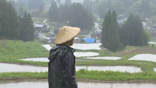 「「心が折れた」サル・イノシシの被害続き…日本の棚田百選『北五百川の棚田』が400年超の歴史に幕｜新潟・三条市」の画像