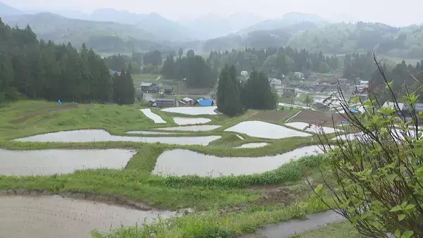 「「心が折れた」サル・イノシシの被害続き…日本の棚田百選『北五百川の棚田』が400年超の歴史に幕｜新潟・三条市」の画像