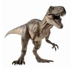 ティラノサウルス、あまり賢くなかった「現在のワニやトカゲと同じくらい」
