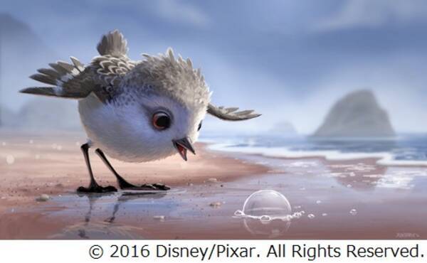 ニモ 続編と同時上映の短編 もふもふ キュートな本編映像解禁 16年7月15日 エキサイトニュース