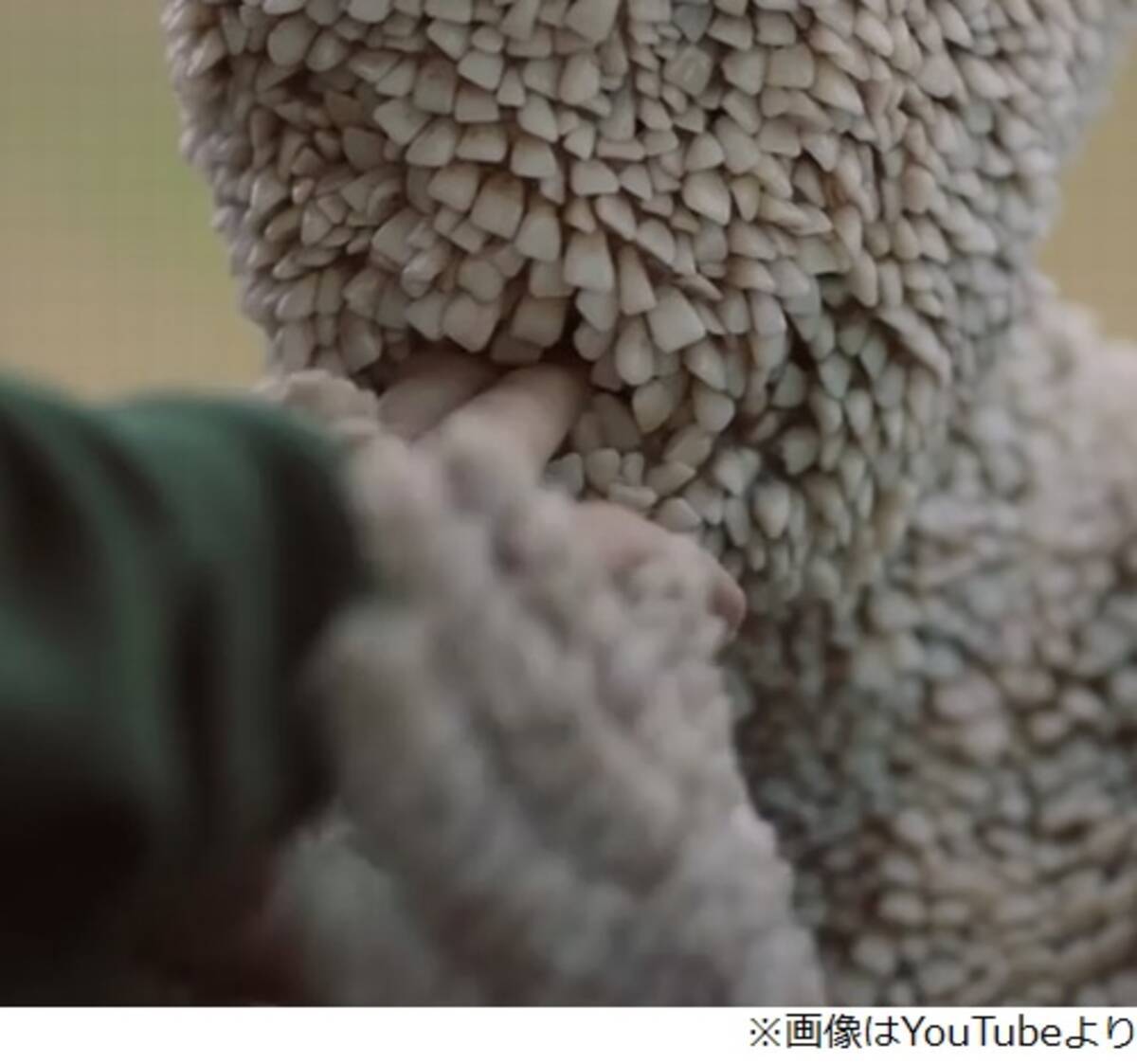 閲覧注意 生理的嫌悪必至の 怪物 16年9月9日 エキサイトニュース