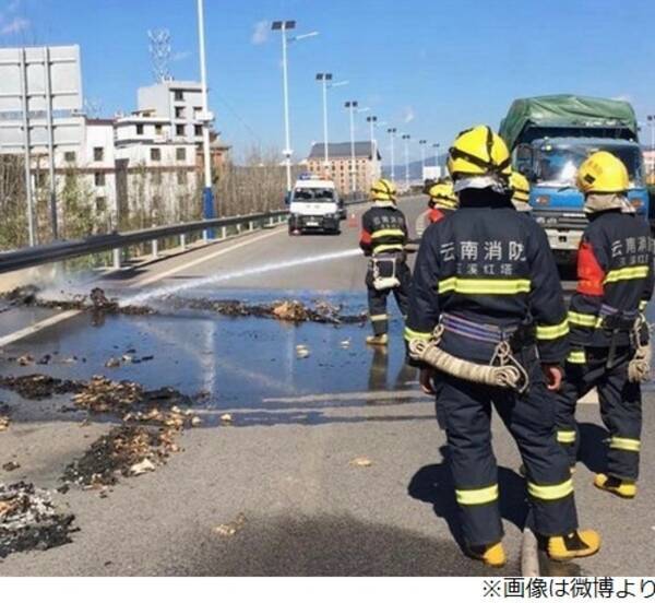 タバコのポイ捨て でヒヨコ1万羽が犠牲 17年1月15日 エキサイトニュース