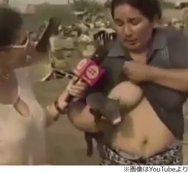 生放送でインタビューの女性 突然ブタに授乳 17年2月10日 エキサイトニュース