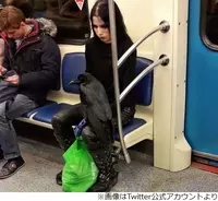 電車内で他人の写真を撮ってネットにアップ これって罪にあたりますか 17年4月30日 エキサイトニュース