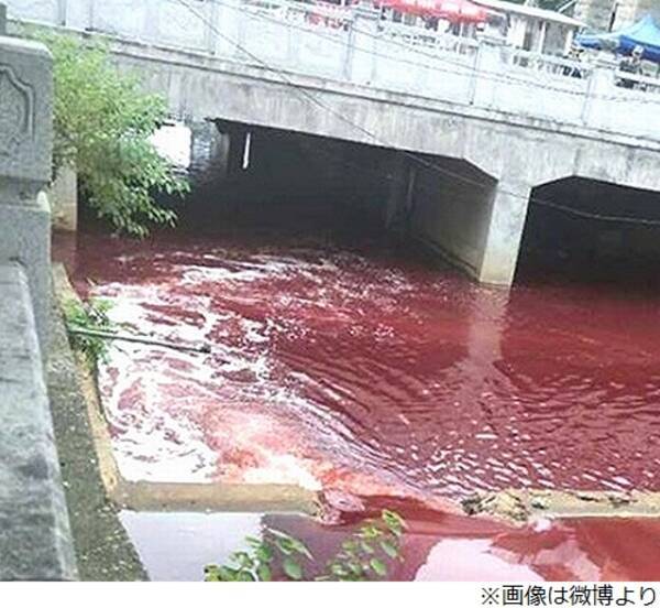 川が血の色に…本当に血だった