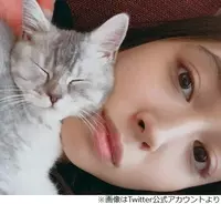 夫の気持ちもわかる 安田美沙子の汚部屋ぶりに視聴者ドン引き 18年1月31日 エキサイトニュース