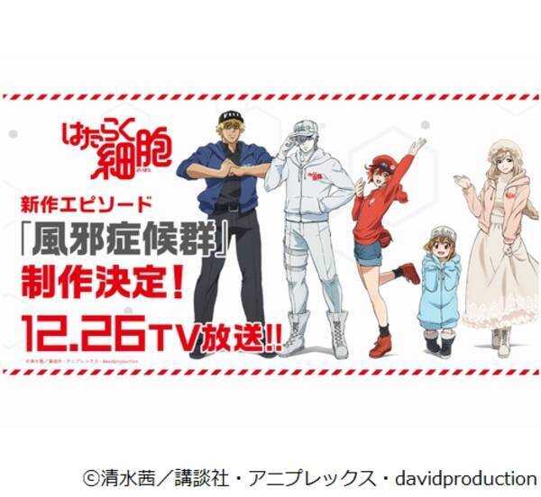 アニメ はたらく細胞 の新作エピソード決定 18年11月19日 エキサイトニュース