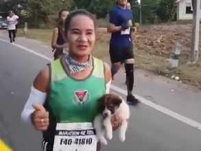 マラソン中に子犬救出、抱えて完走