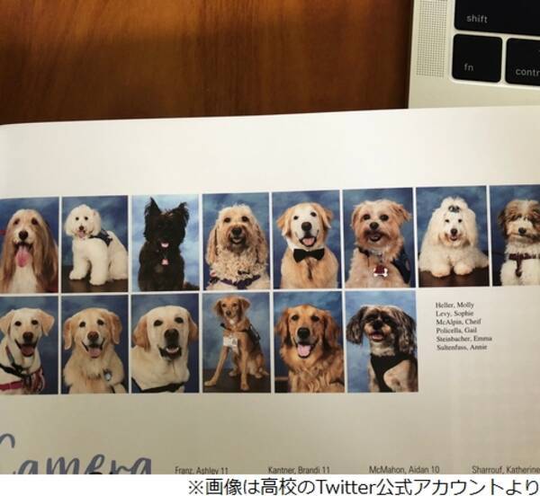 卒業アルバムに 14匹の犬 その理由は 19年5月21日 エキサイトニュース