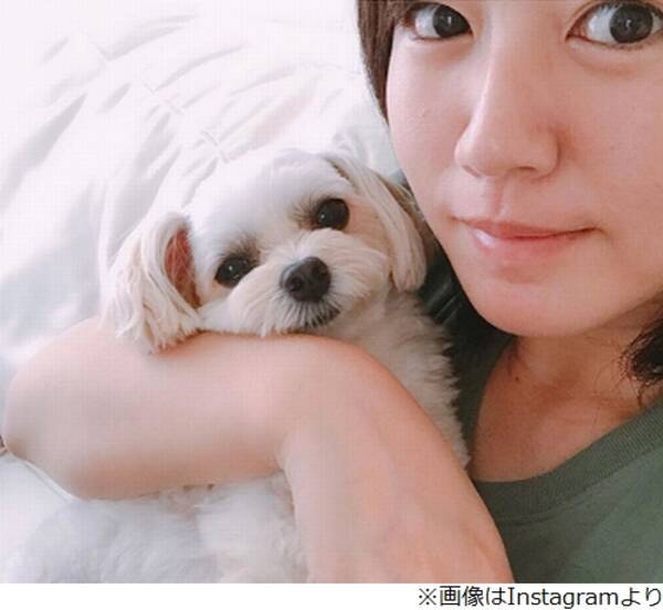 ダレノガレ 磯山さやかの体型批判 許せない 19年7月24日 エキサイトニュース