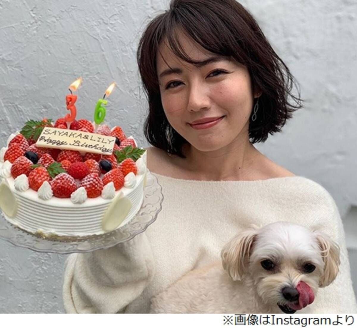 磯山さやか36歳 愛犬6歳の誕生日 楽しく過ごしていきたい エキサイトニュース