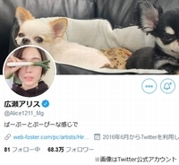 広瀬アリスさんのいいね欄が 声優 花江夏樹さんが明かした衝撃の光景にファン爆笑 19年11月18日 エキサイトニュース