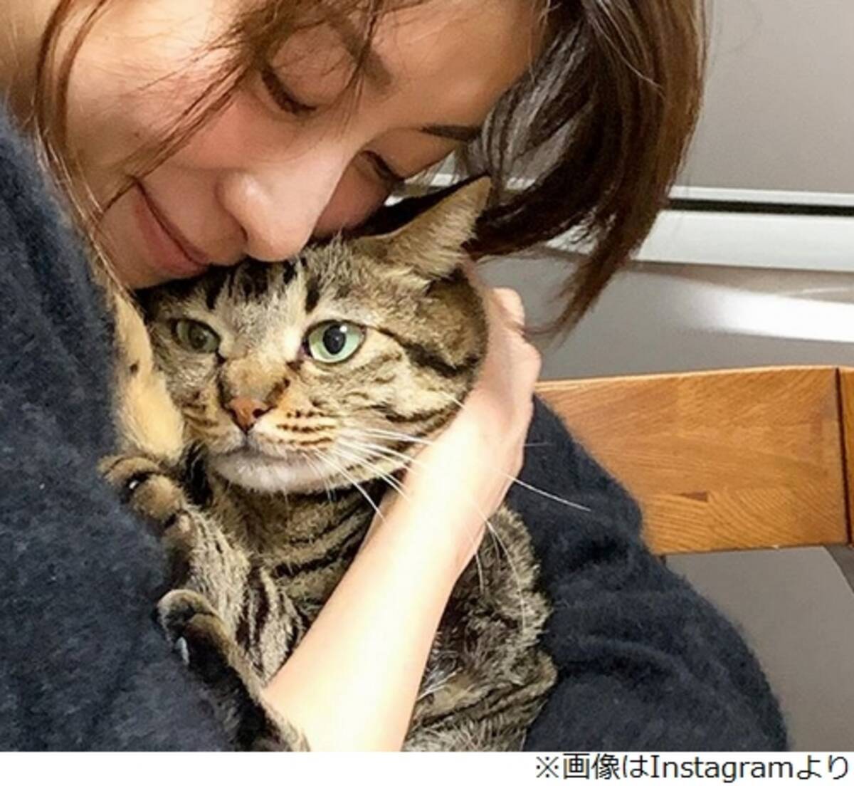 愛猫抱くカトパン 絶賛 みーちゃんになりたい人続出 年1月19日 エキサイトニュース