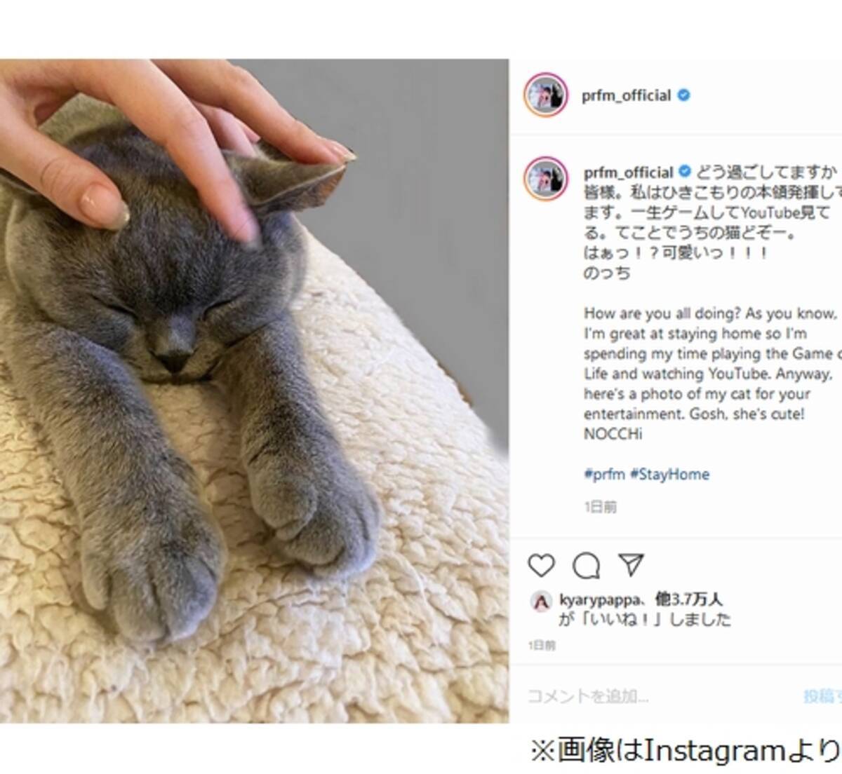 Perfumeのっち ひきこもりの本領発揮 愛猫も激カワ 2020年4月12日