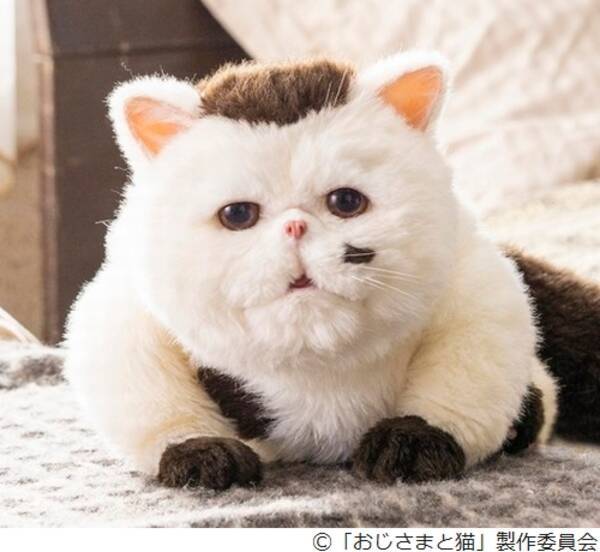 神木隆之介 連ドラ化 おじさまと猫 愛猫の声に決定 年11月25日 エキサイトニュース 神木隆之介 連ドラ化 おじさまと猫 愛猫の声に決定 年11月25日 エキサイトニュース