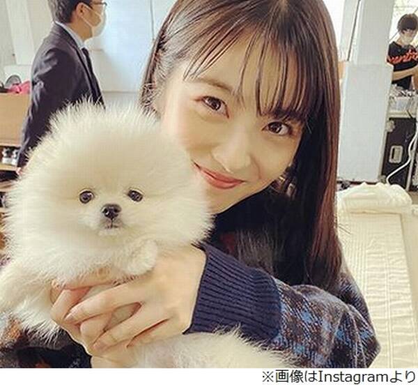 浜辺美波 漬物愛 熱く語る 年12月26日 エキサイトニュース