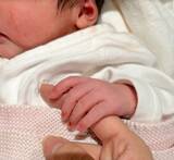 「安めぐみが次女出産報告「産まれたばかりの長女にそっくり」」の画像1