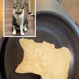 「一見はマンボウみたいなパンケーキ、ひっくり返すと猫が現れ」の画像1