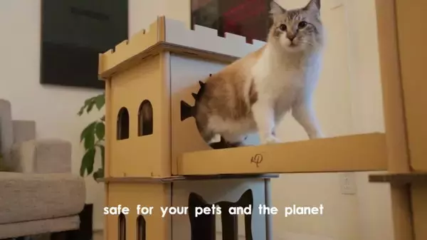 段ボール製タワーブリッジキャットタワー、渡って飛んで猫ご満悦