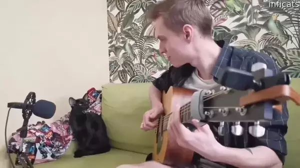 飼い主のギターに合わせて歌う猫、哀愁漂う黒猫ブルース