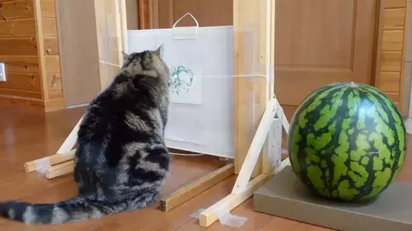 「AIより味わい深い絵を描く猫、背中に漂う画伯の貫禄」の画像