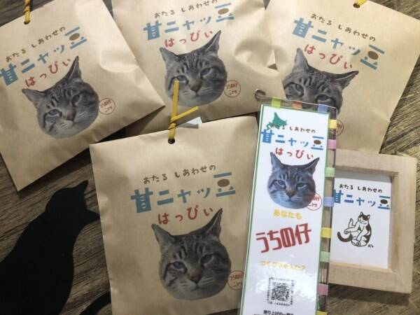 食べるほど猫が助かる 甘ニャッ豆 に 愛猫写真がパッケージになるタイプが登場 年5月19日 エキサイトニュース