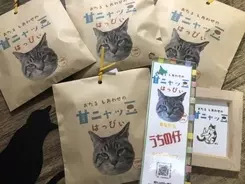 猫 注射なんかやめたって 予防接種を嫌がる犬を助けるためにお医者さんにがぶりんちょ 年5月21日 エキサイトニュース