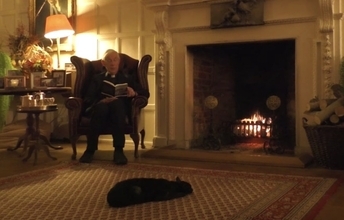 司祭によるオンラインでの朝の説教、猫が暖炉でぬくもってる回