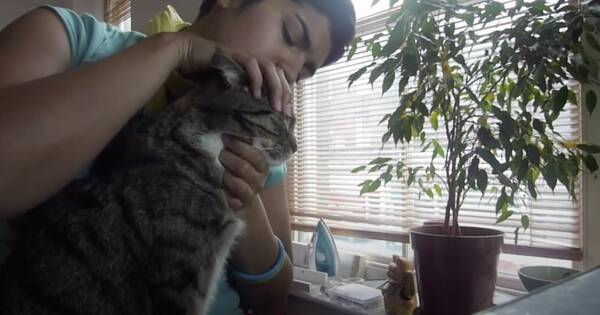 インド式猫ヘッドネックマッサージ 悠久の歴史を感じる顔に 21年2月9日 エキサイトニュース インド式猫ヘッドネックマッサージ 悠久の歴史を感じる顔に 21年2月9日 エキサイトニュース