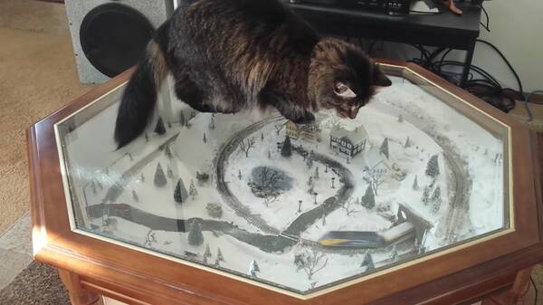 テーブルの中をグルグルnゲージ つられて猫も上をグルグル 21年7月日 エキサイトニュース