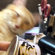 猫缶のプルタブ弾いて高速起動、コンマ3秒で猫は覚醒