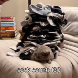 「猫の上に靴下いったい何足乗るか、68足は実績解除」の画像1