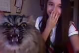 「飼い主の歌声聴いて飛んできた猫、大音声のオペラを歌う」の画像1