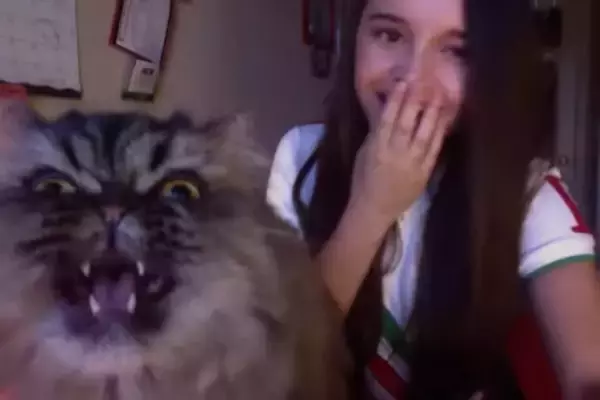 飼い主の歌声聴いて飛んできた猫、大音声のオペラを歌う