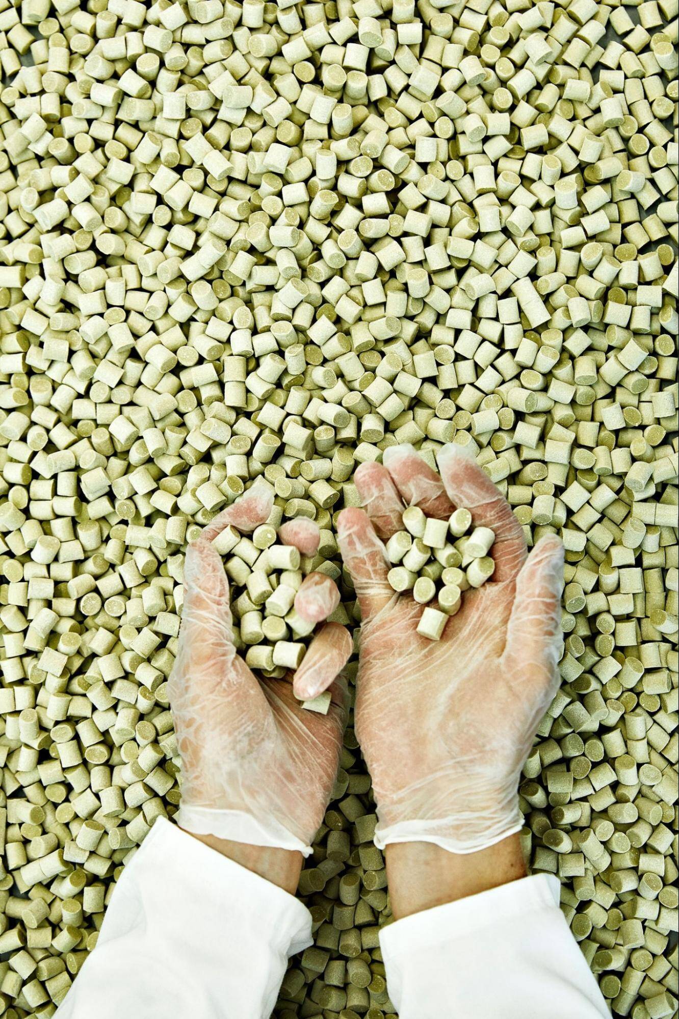 「プラスチックを噛むのは、もう終わりにしよう」自然由来の“本物のガム”を届けるデンマーク発のTrue Gum｜GOOD GOODS CATALOG #031