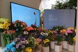 「花屋なのに花を売らない？「色を撮る花屋」が代官山に期間限定オープン」の画像1