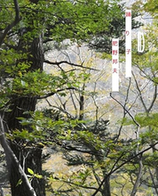 タイトルに「踊り子」が入っている曲５選