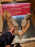 「【福島県いわき市】5年ぶり！いわき湯本温泉はやはり素晴らしかった！」の画像10