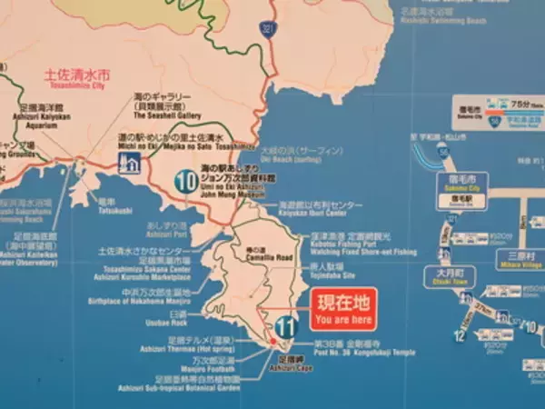 「【高知】足摺岬にある自然の絶景「恋愛のパワースポット」と無料足湯」の画像