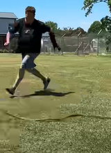 驚くほど機敏に動き回る！陸上最速のヘビ「ブラックマンバ」