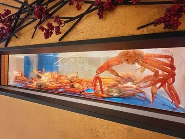 「【日本酒★新発見】元NMB48メンバー石田優美も大絶賛！大阪・難波に「香住蟹一番」がオープン！「香住蟹＆香住鶴」香住ペアリングで旅気分♪」の画像