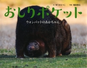 お尻が硬いだけじゃなかった？ウォンバットの可愛い子育ての瞬間