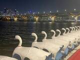 「【韓国】 ソウルで人気の「漢江スタバ」新店舗！ 聖水からも近い公園で夜景も楽しめる」の画像2
